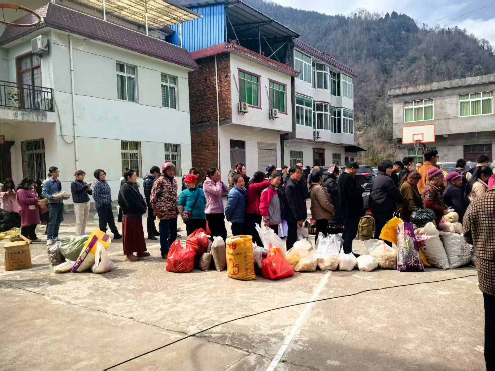 20250303100734875-49-6bf39.jpg 20250303100734875-49-6bf39.jpg