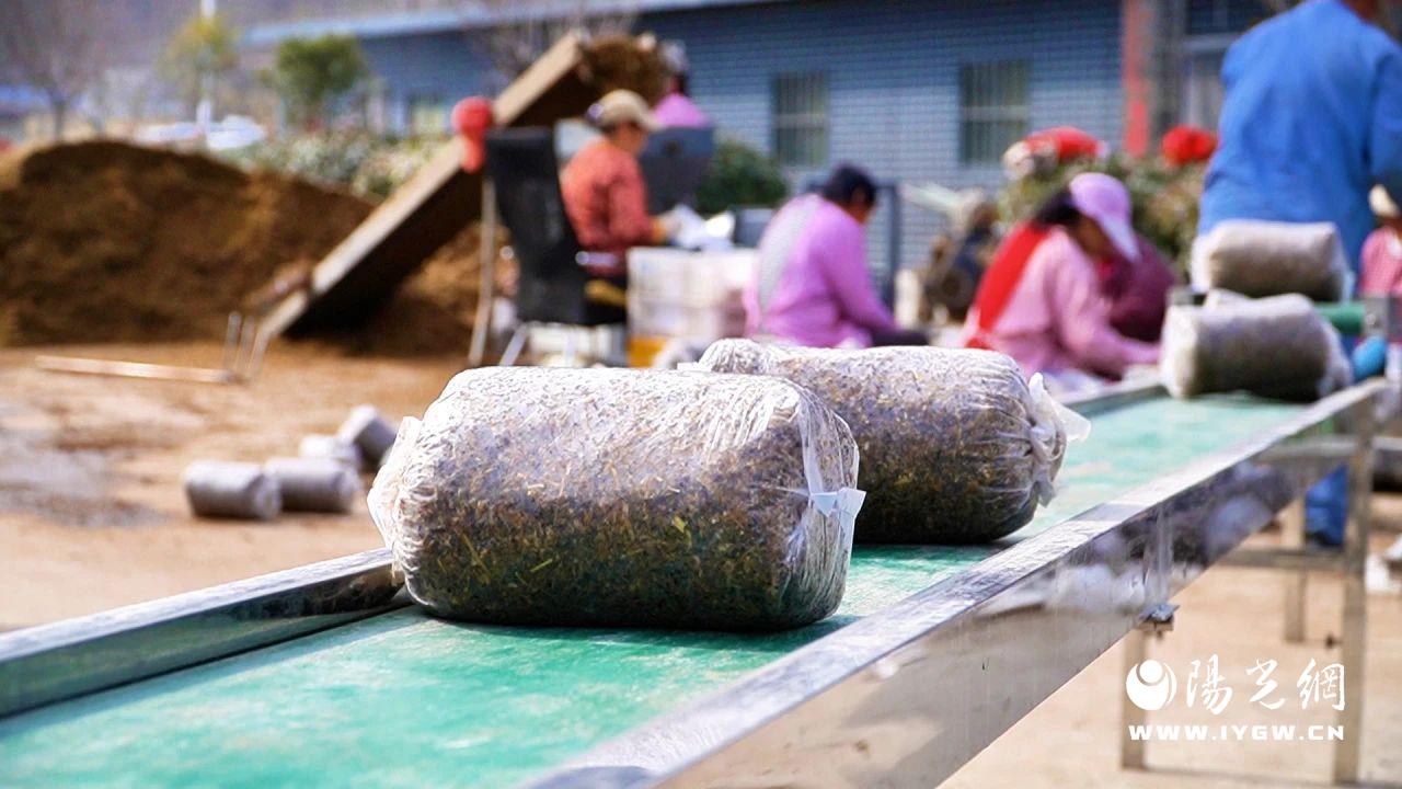 20250303141548415-78-be39b.jpg 20250303141548415-78-be39b.jpg