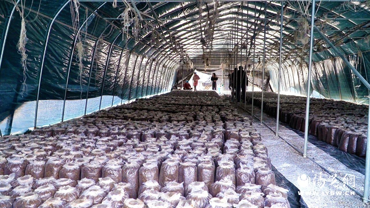 20250303141549017-9-4fcf5.jpg 20250303141549017-9-4fcf5.jpg