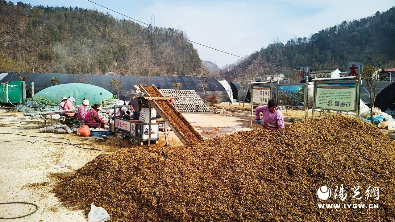 20250303141549500-83-7d2f7.jpg 20250303141549500-83-7d2f7.jpg