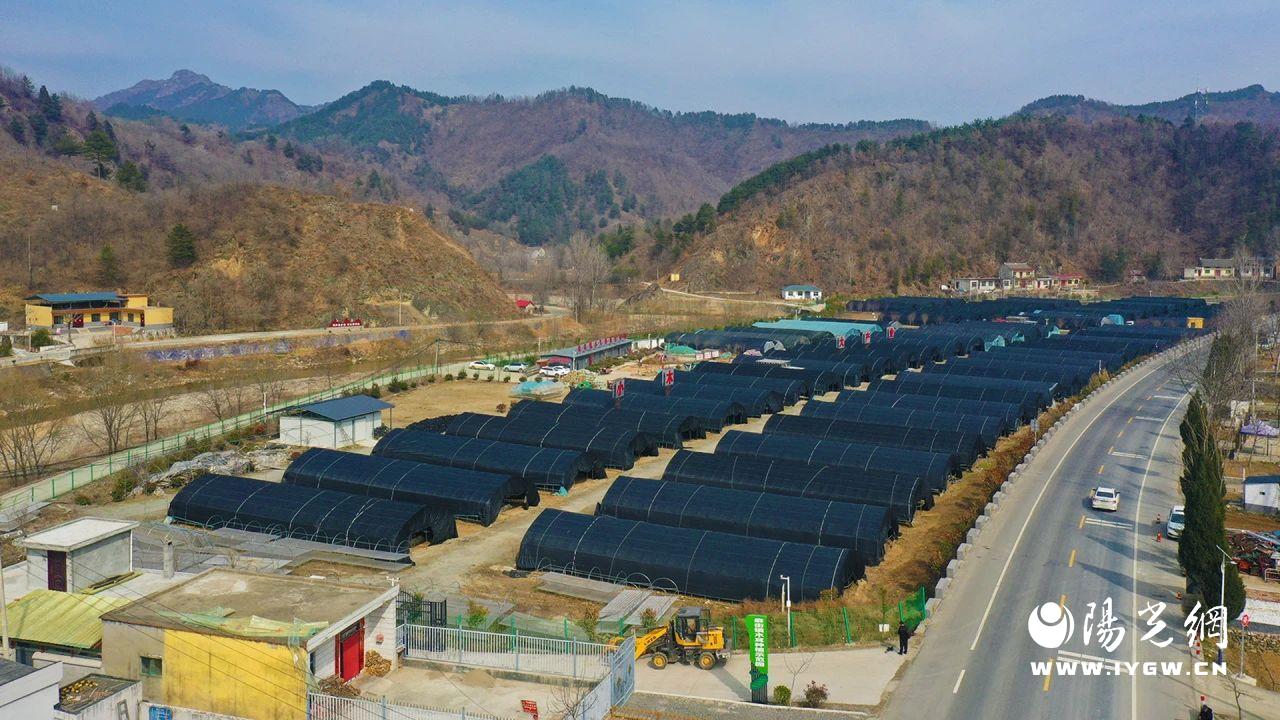 20250303141602251-74-0a5e9.jpg 20250303141602251-74-0a5e9.jpg