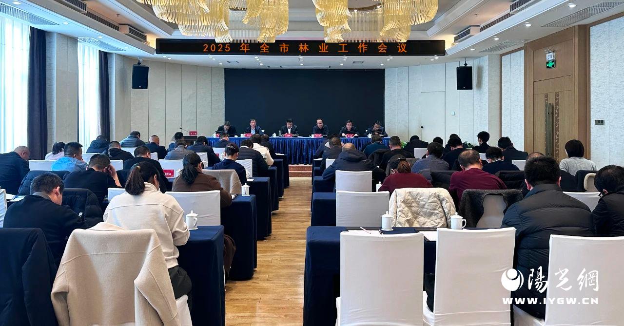 20250303142624757-6-cce21.jpg 20250303142624757-6-cce21.jpg