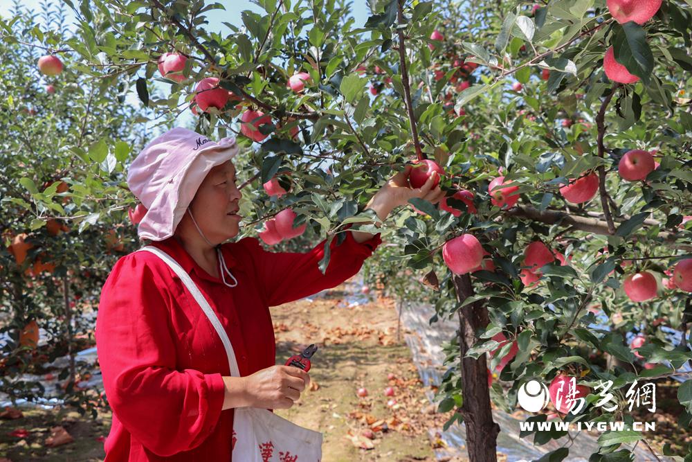 20250303144522049-95-9697c.jpg 20250303144522049-95-9697c.jpg