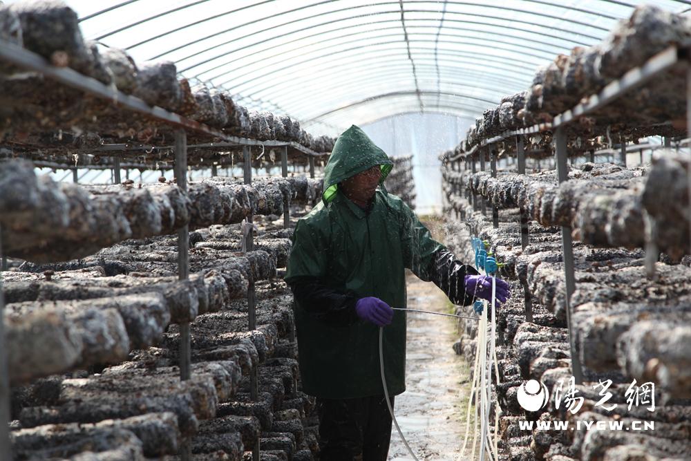 20250303144527860-13-838ad.jpg 20250303144527860-13-838ad.jpg