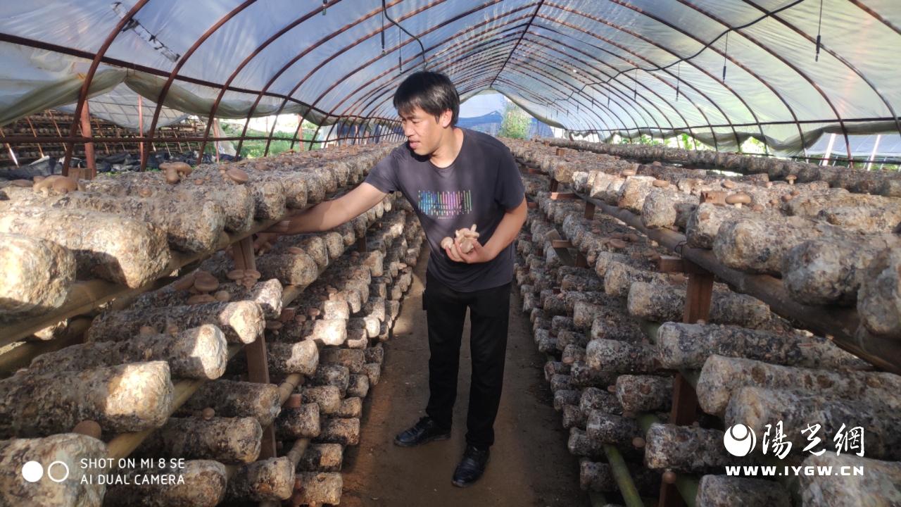 20250304144122194-26-dc584.jpg 20250304144122194-26-dc584.jpg