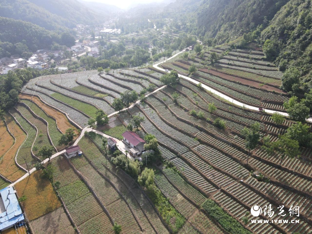 20250304144122590-30-c5e1f.jpg 20250304144122590-30-c5e1f.jpg