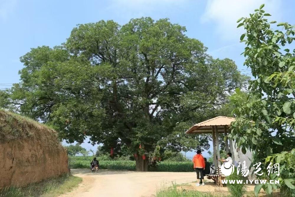 20250304145024480-62-8952c.jpg 20250304145024480-62-8952c.jpg