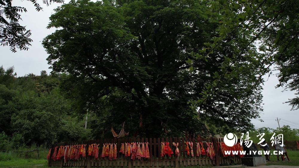 20250304145028778-49-1759e.jpg 20250304145028778-49-1759e.jpg