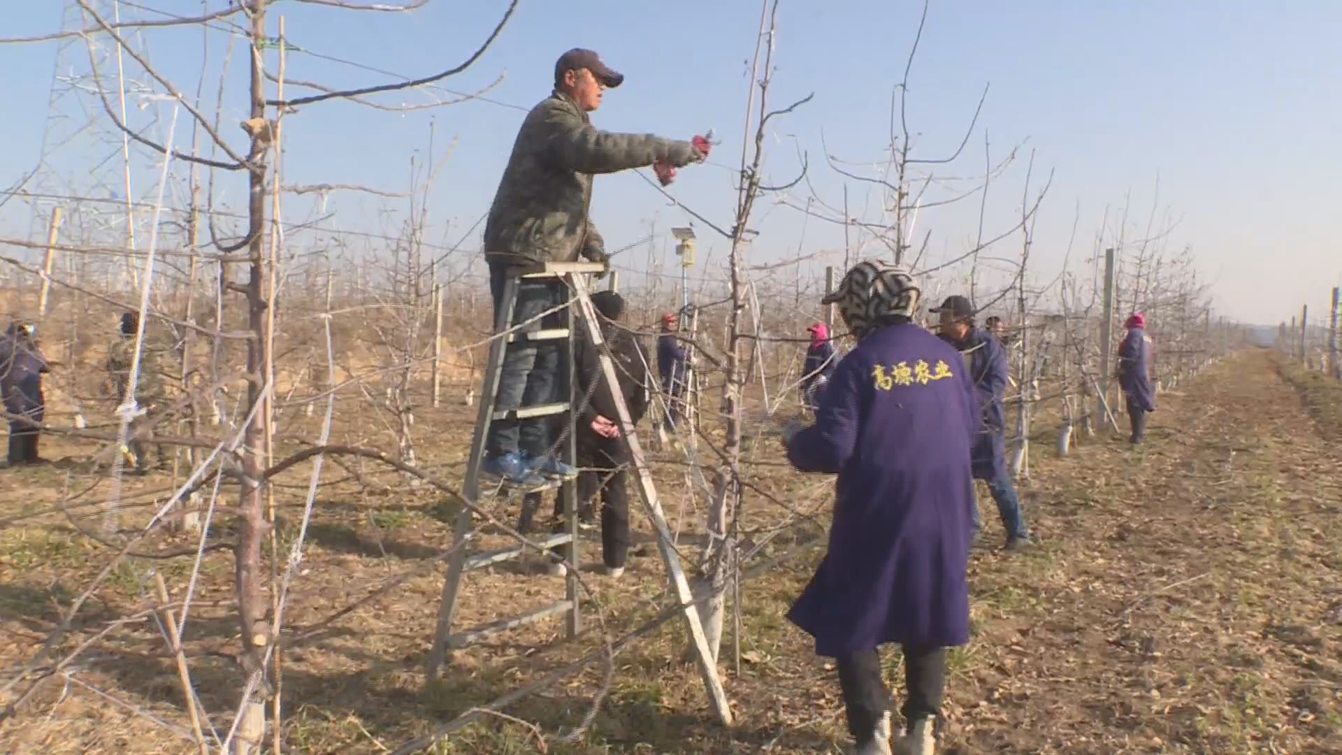 20250304151149058-56-20124.jpg 20250304151149058-56-20124.jpg