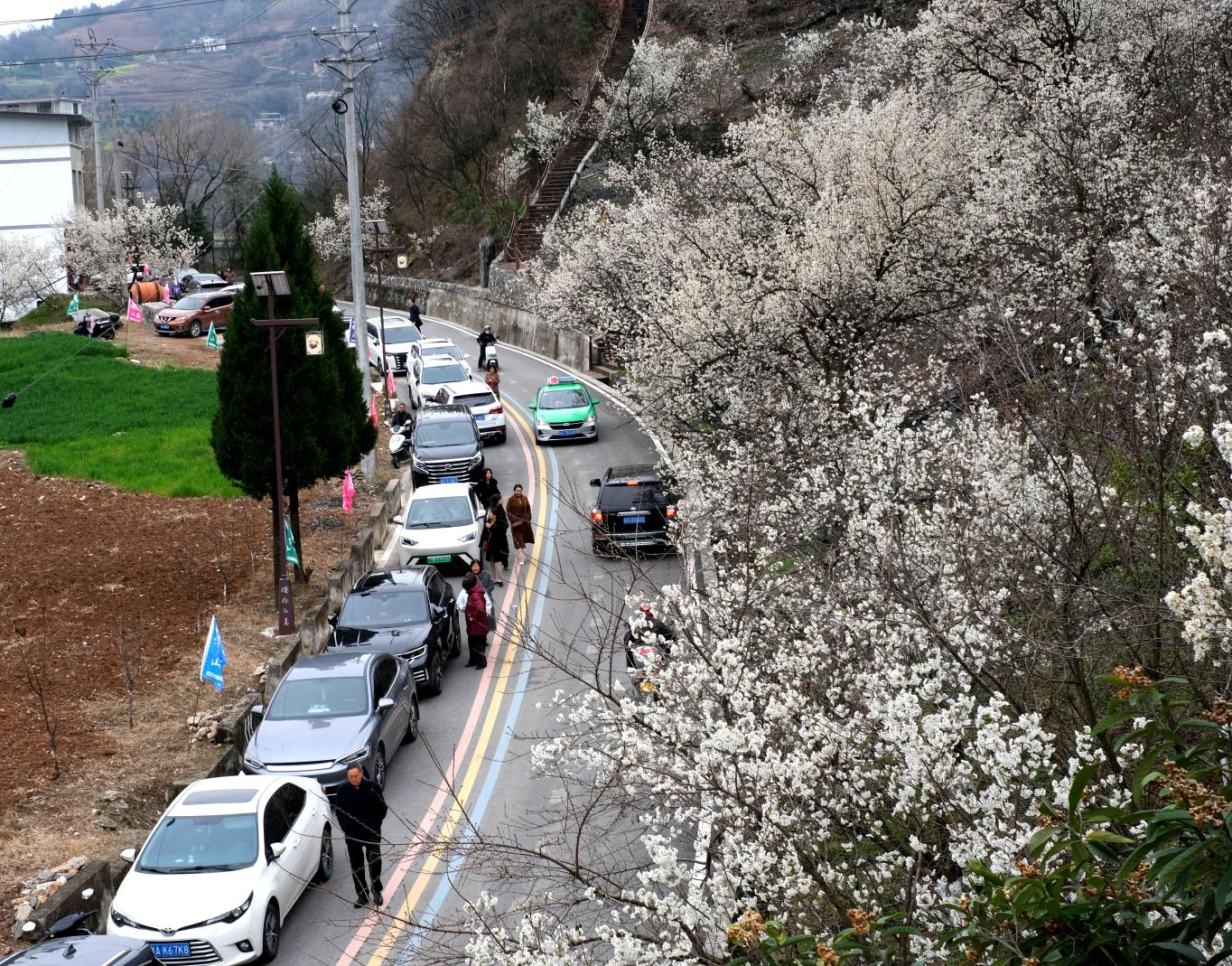 20250305183348362-62-a335b.jpg_scale.jpg 20250305183348362-62-a335b.jpg_scale.jpg