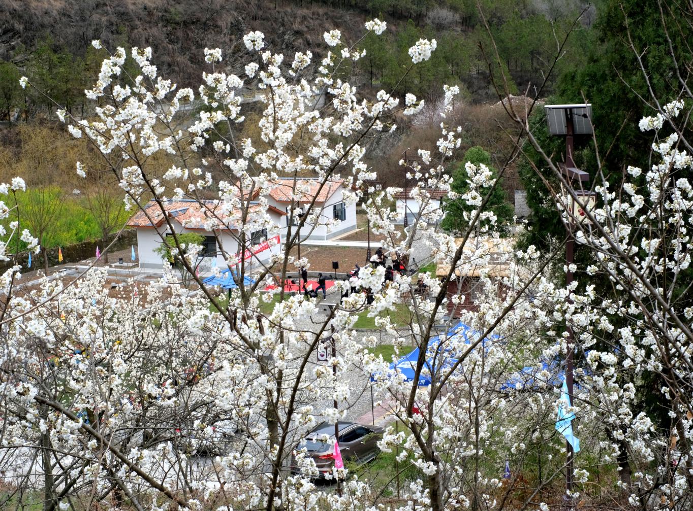 20250305183352452-24-c1ec5.jpg_scale.jpg 20250305183352452-24-c1ec5.jpg_scale.jpg