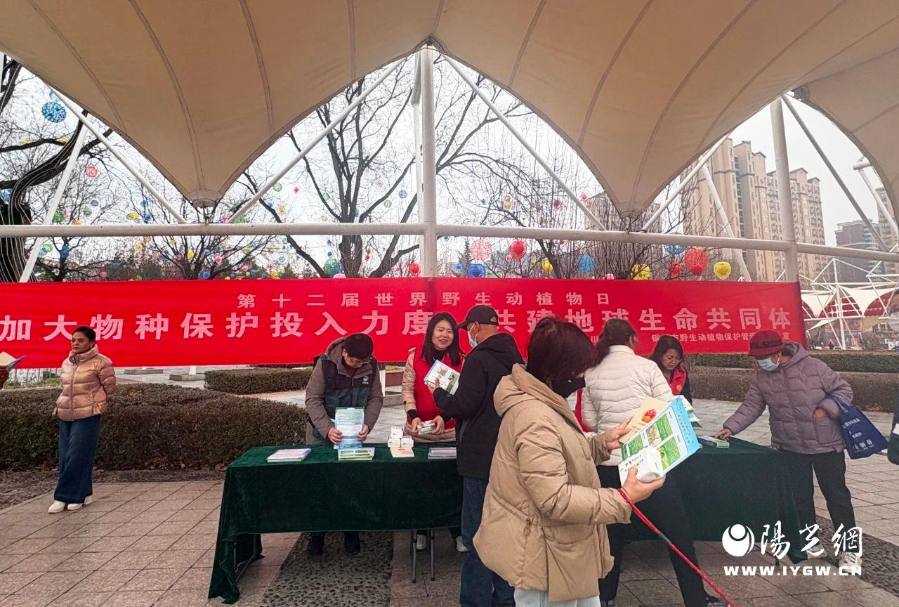 20250306151609280-96-b3441.jpg 20250306151609280-96-b3441.jpg