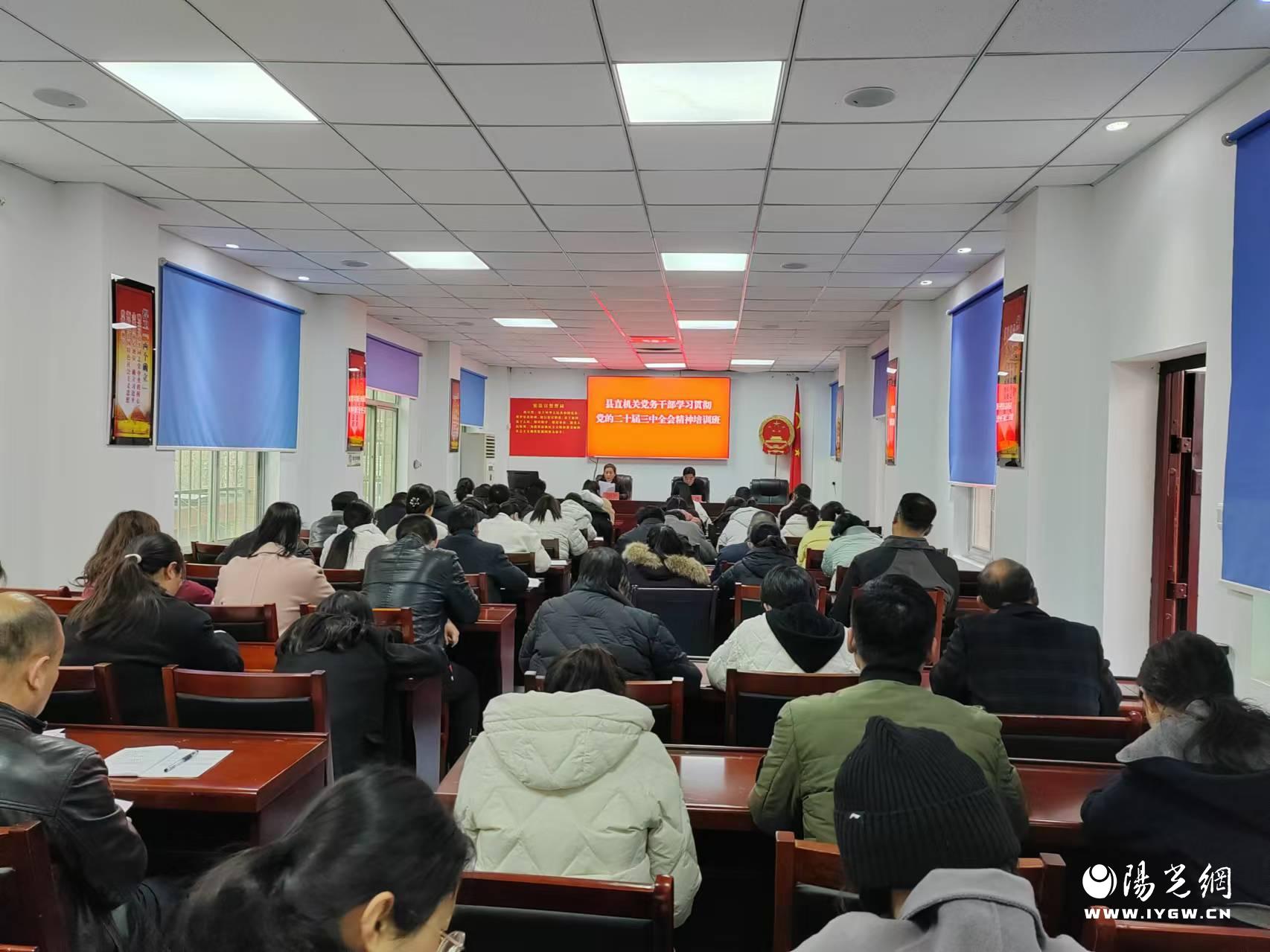 20250307103305900-5-80716.jpg 20250307103305900-5-80716.jpg