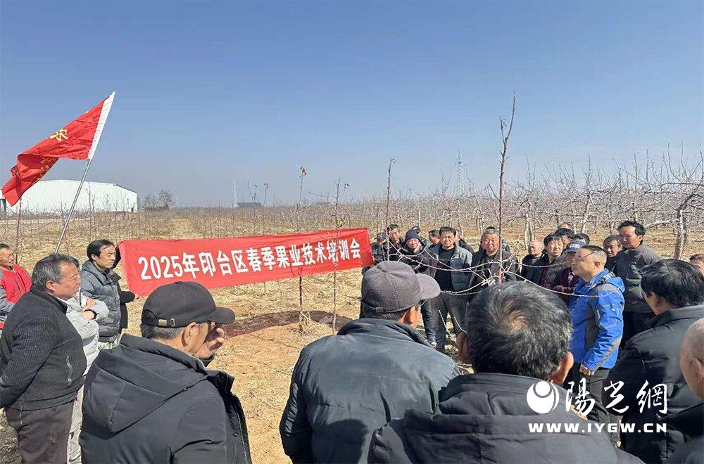 20250307153554828-10-79fd8.jpg 20250307153554828-10-79fd8.jpg