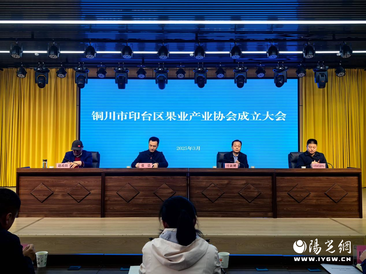 20250307165014383-32-75642.png 20250307165014383-32-75642.png