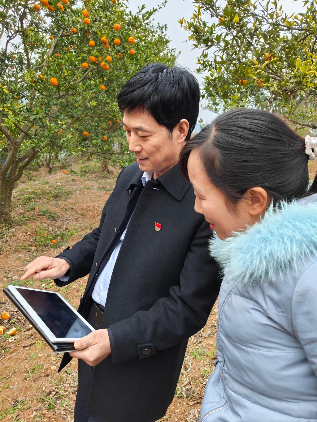 20250310144837647-76-ffae3.jpg_scale.jpg 20250310144837647-76-ffae3.jpg_scale.jpg