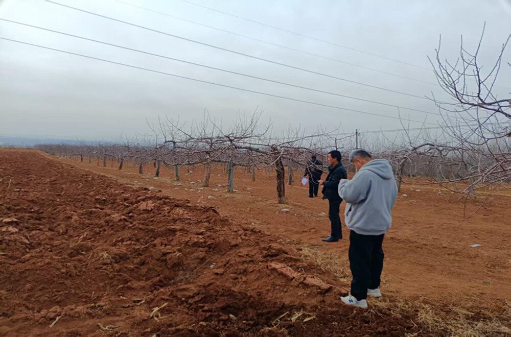 20250310152334528-98-b77bc.jpg 20250310152334528-98-b77bc.jpg