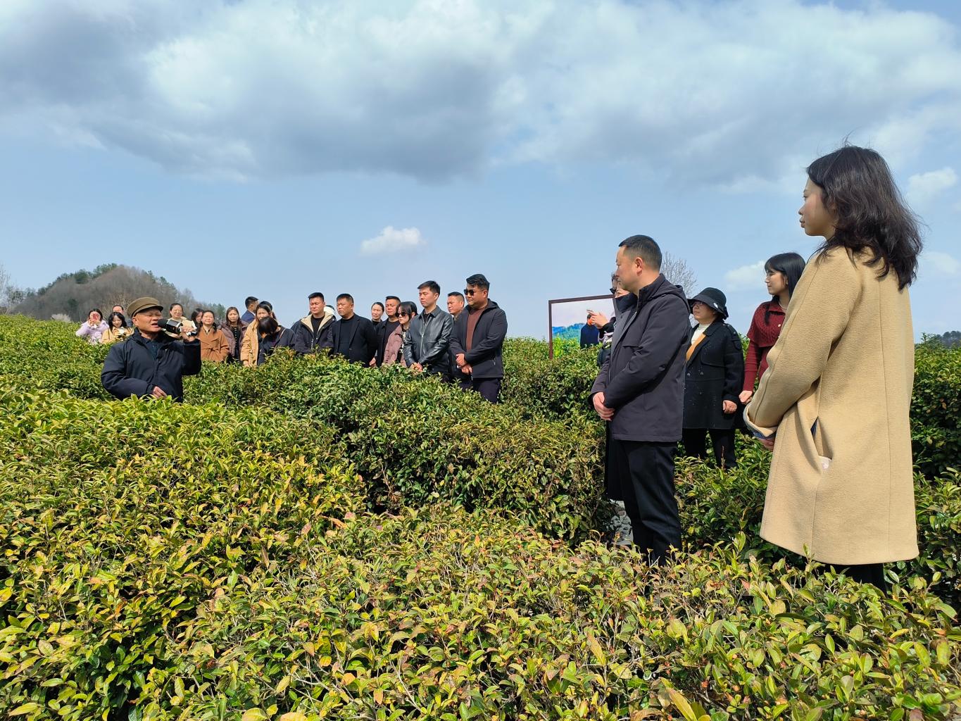 20250310160217577-37-74a5b.jpg_scale.jpg 20250310160217577-37-74a5b.jpg_scale.jpg