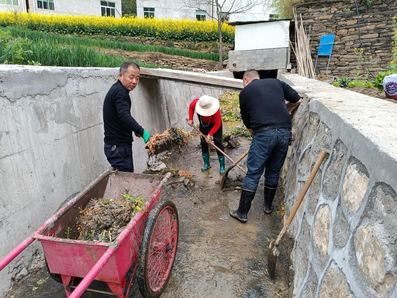 20250310163232337-7-862d0.png 20250310163232337-7-862d0.png