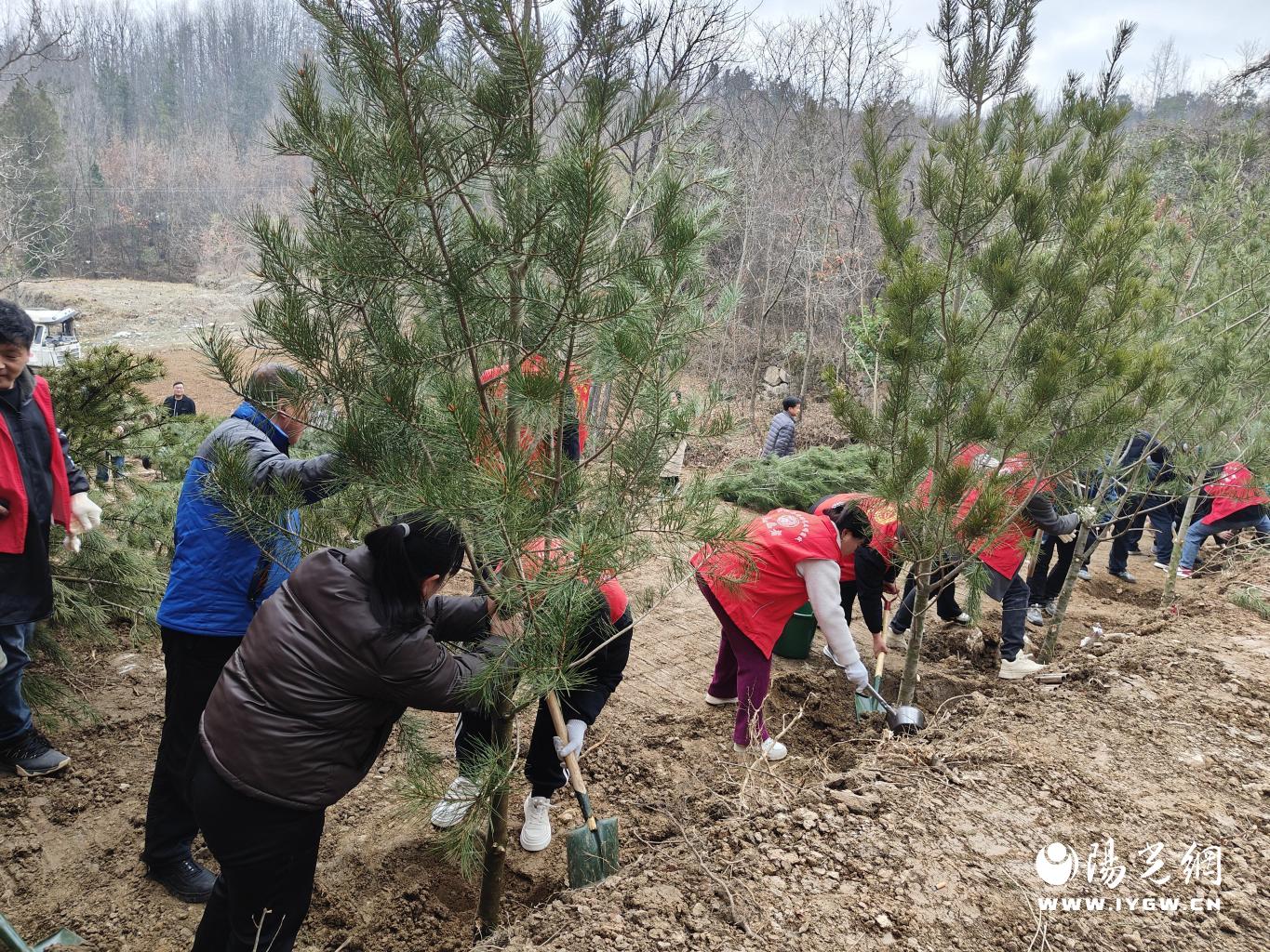 20250311104332081-74-c2314.jpg_scale.jpg 20250311104332081-74-c2314.jpg_scale.jpg