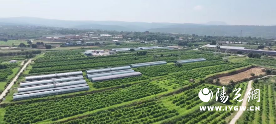 20250311163410104-69-2e7ac.png 20250311163410104-69-2e7ac.png