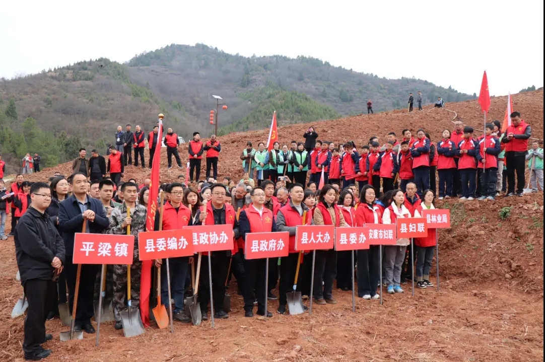 20250311224820072-89-12c80.jpg 20250311224820072-89-12c80.jpg