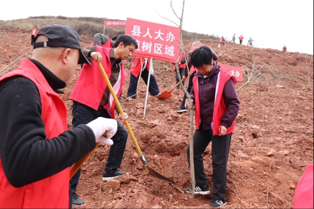 20250312094945677-47-26b5f.jpg 20250312094945677-47-26b5f.jpg