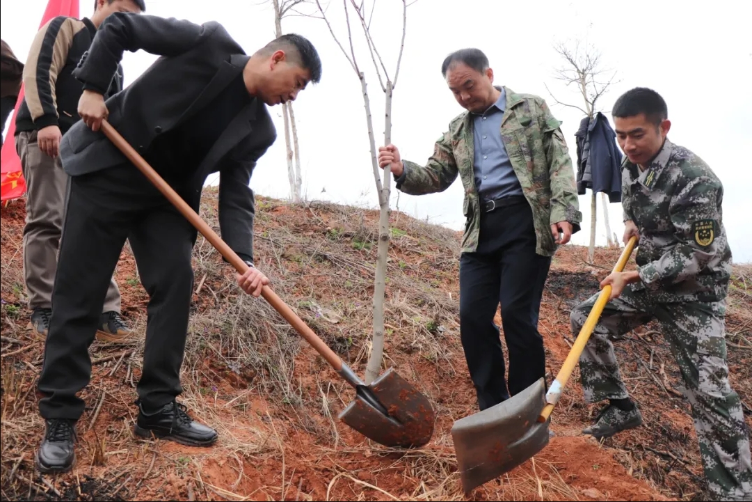 20250312095005586-84-166bb.jpg 20250312095005586-84-166bb.jpg