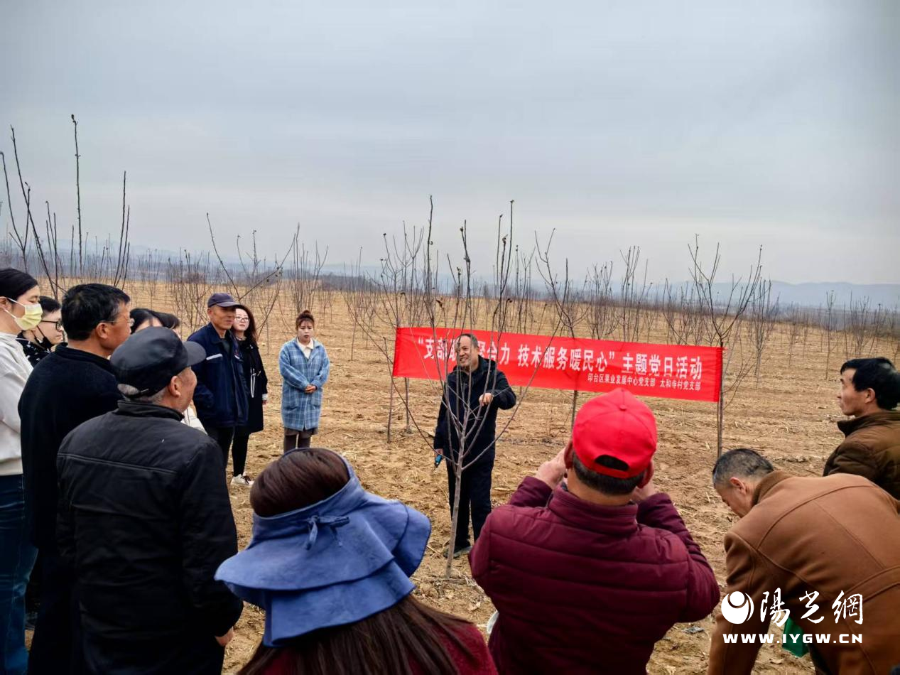 20250312155728910-98-74090.png 20250312155728910-98-74090.png