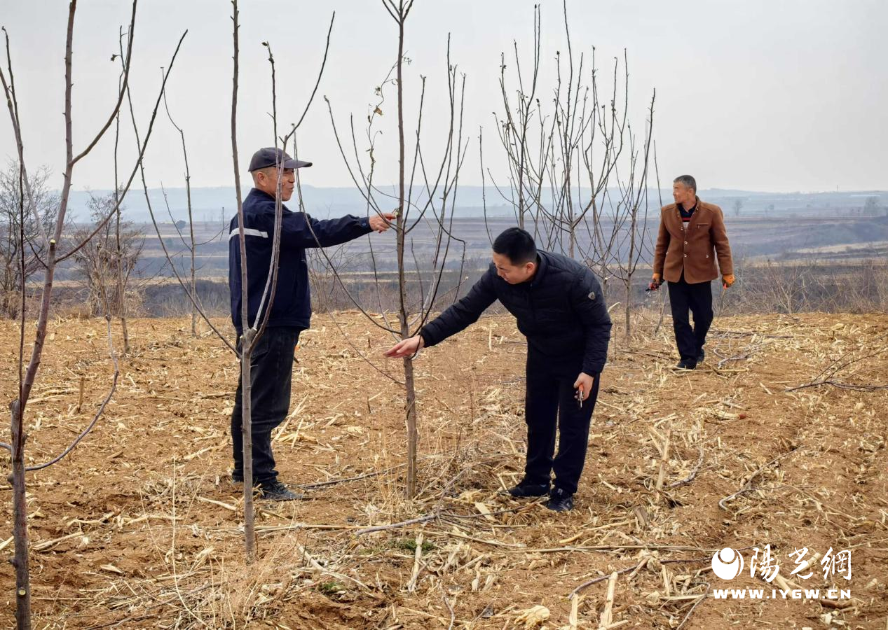 20250312155733822-50-0e0d7.png 20250312155733822-50-0e0d7.png