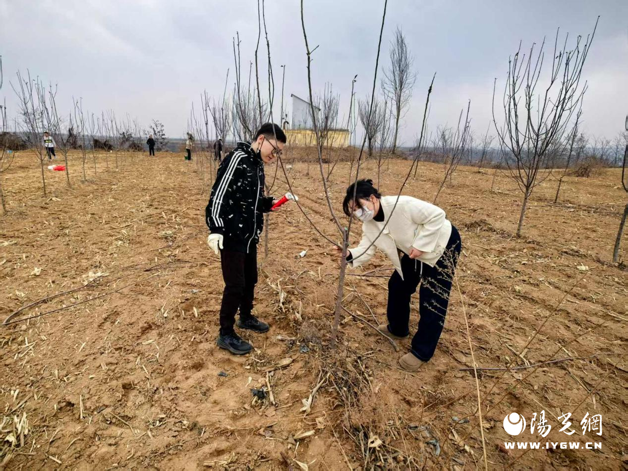 20250312155737852-21-2fd26.png 20250312155737852-21-2fd26.png