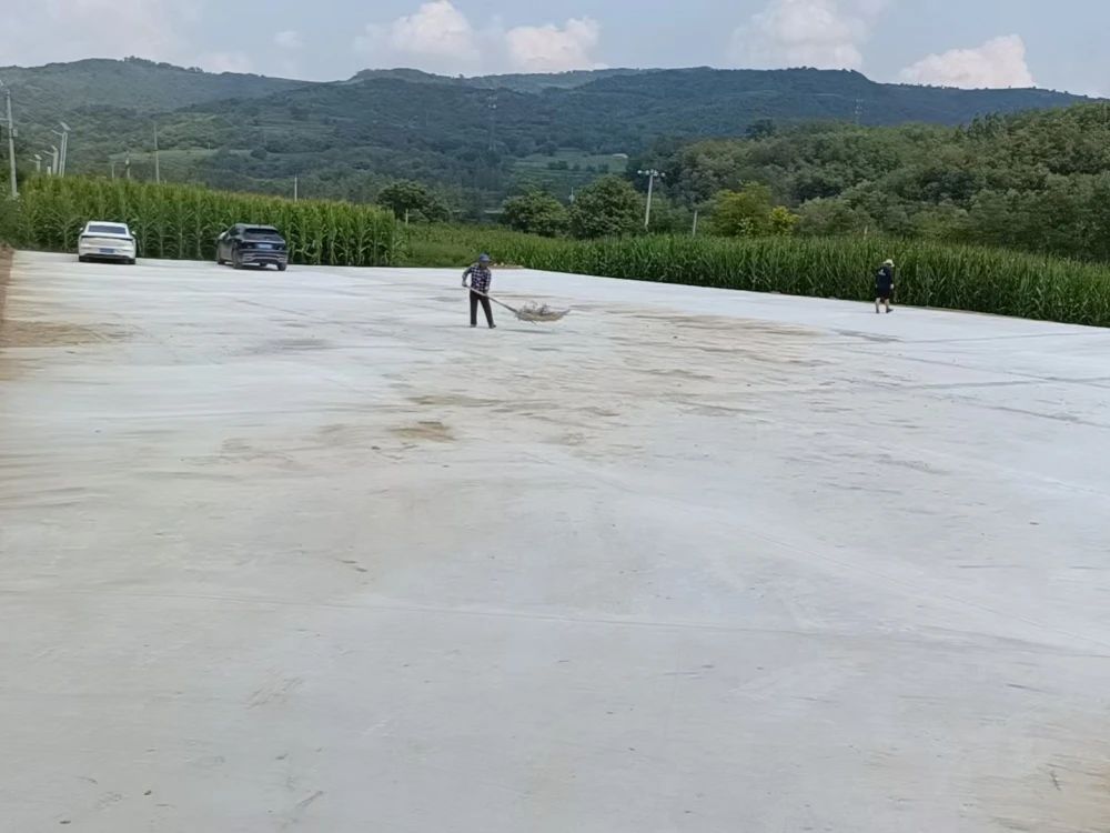 20250813144922774-5-3ea60.jpg 20250813144922774-5-3ea60.jpg