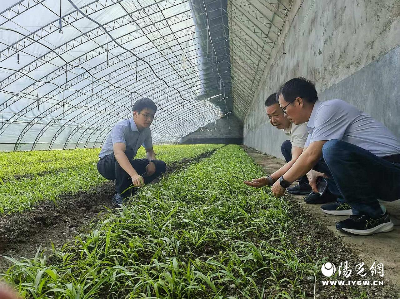 20250814185537503-34-d7e63.jpg 20250814185537503-34-d7e63.jpg