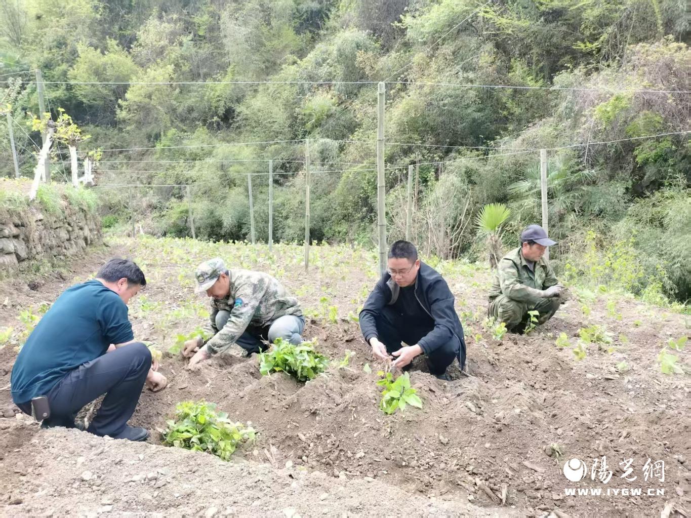 20250814190142224-9-e66e6.jpg_scale.jpg 20250814190142224-9-e66e6.jpg_scale.jpg