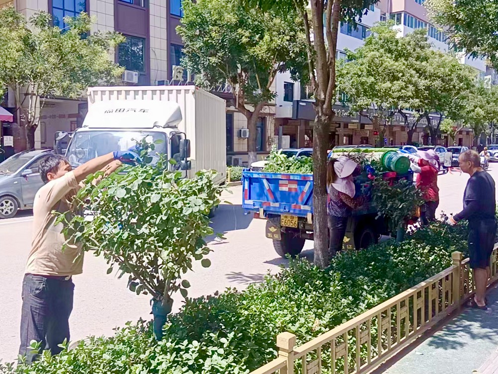 20250818180142875-18-b114e.jpg 20250818180142875-18-b114e.jpg