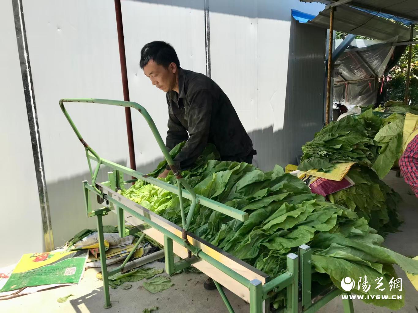 20250818202241014-55-fb168.jpg_scale.jpg 20250818202241014-55-fb168.jpg_scale.jpg