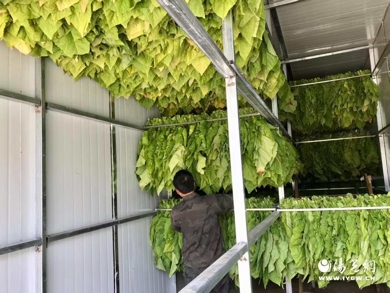 20250818202241028-18-e1723.jpg_scale.jpg 20250818202241028-18-e1723.jpg_scale.jpg