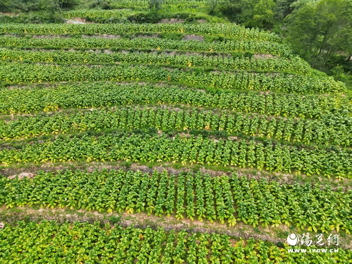 20250818202241301-81-d5f08.jpg_scale.jpg 20250818202241301-81-d5f08.jpg_scale.jpg