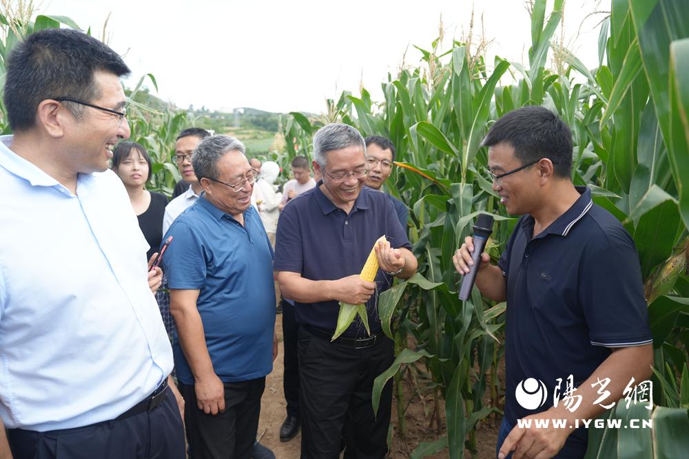 20250819182239393-60-182a5.jpg 20250819182239393-60-182a5.jpg