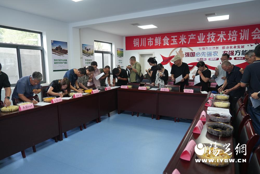 20250819182251973-2-d7830.jpg 20250819182251973-2-d7830.jpg