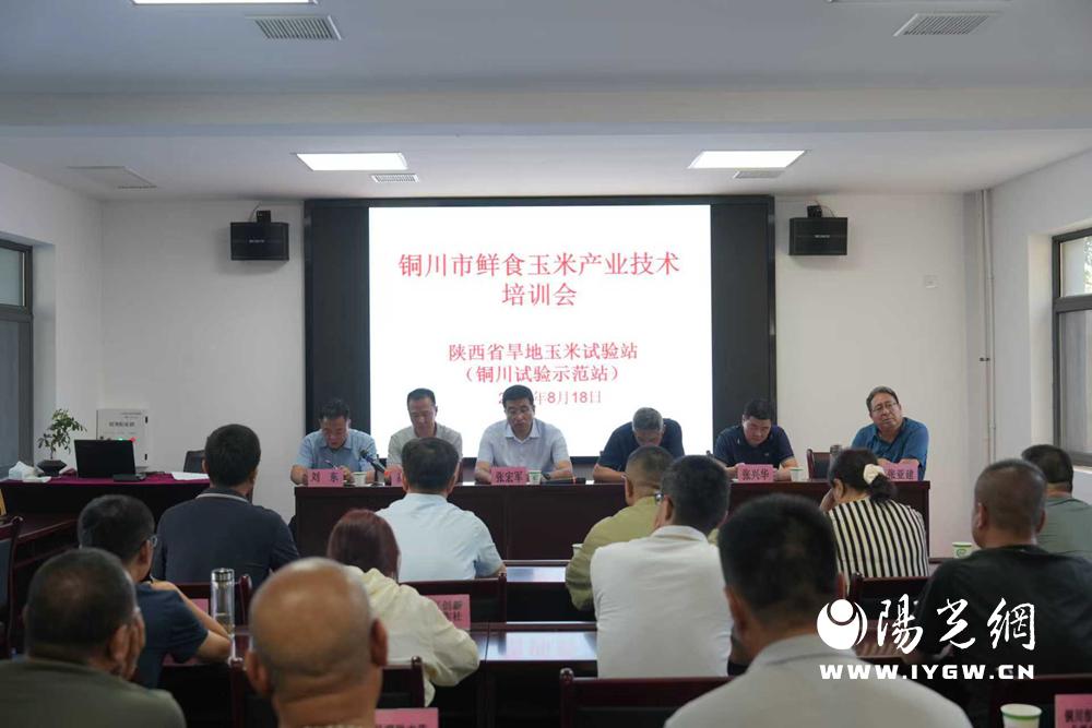 20250819182301404-42-a7ce4.jpg 20250819182301404-42-a7ce4.jpg