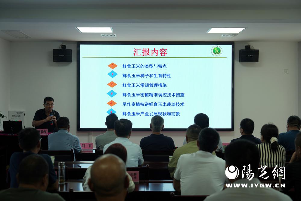 20250819182317765-40-2532d.jpg 20250819182317765-40-2532d.jpg