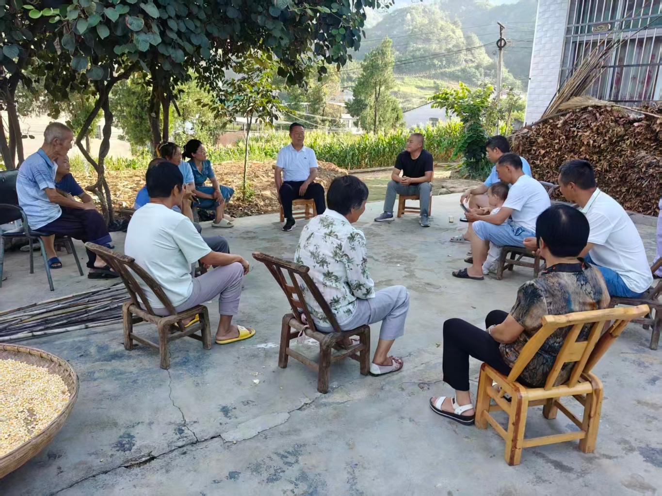 20250820100633843-71-c471c.jpg_scale.jpg 20250820100633843-71-c471c.jpg_scale.jpg