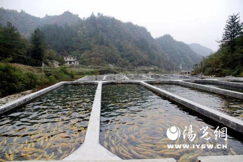 20250820120327543-73-35926.jpg 20250820120327543-73-35926.jpg