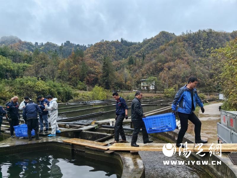 20250820120327566-2-cf053.jpg 20250820120327566-2-cf053.jpg