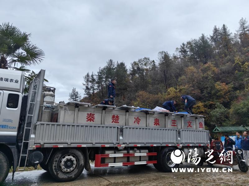 20250820120327649-13-cd4d3.jpg 20250820120327649-13-cd4d3.jpg