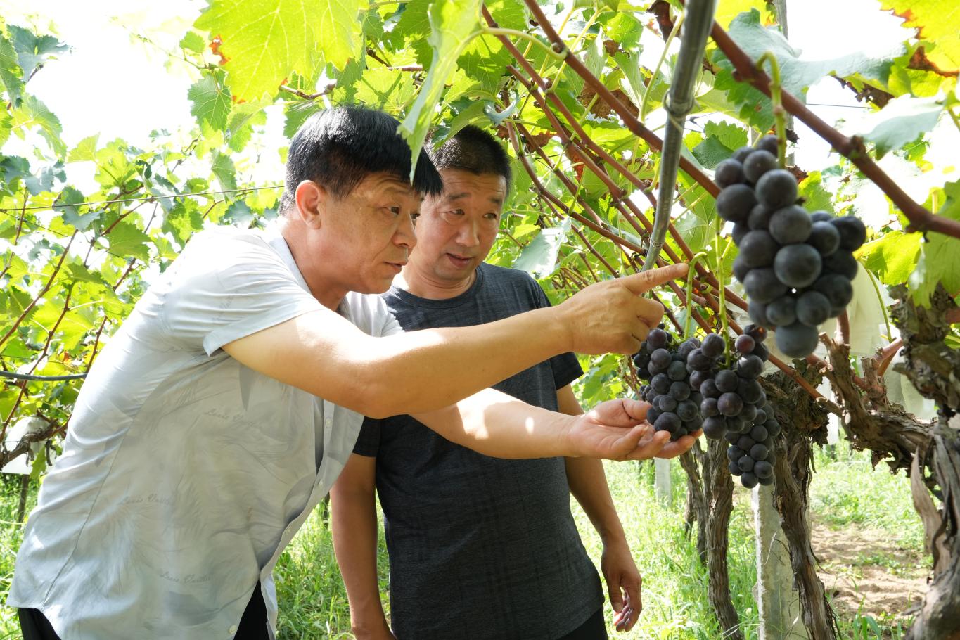 20250821162954670-15-27b85.jpg_scale.jpg 20250821162954670-15-27b85.jpg_scale.jpg