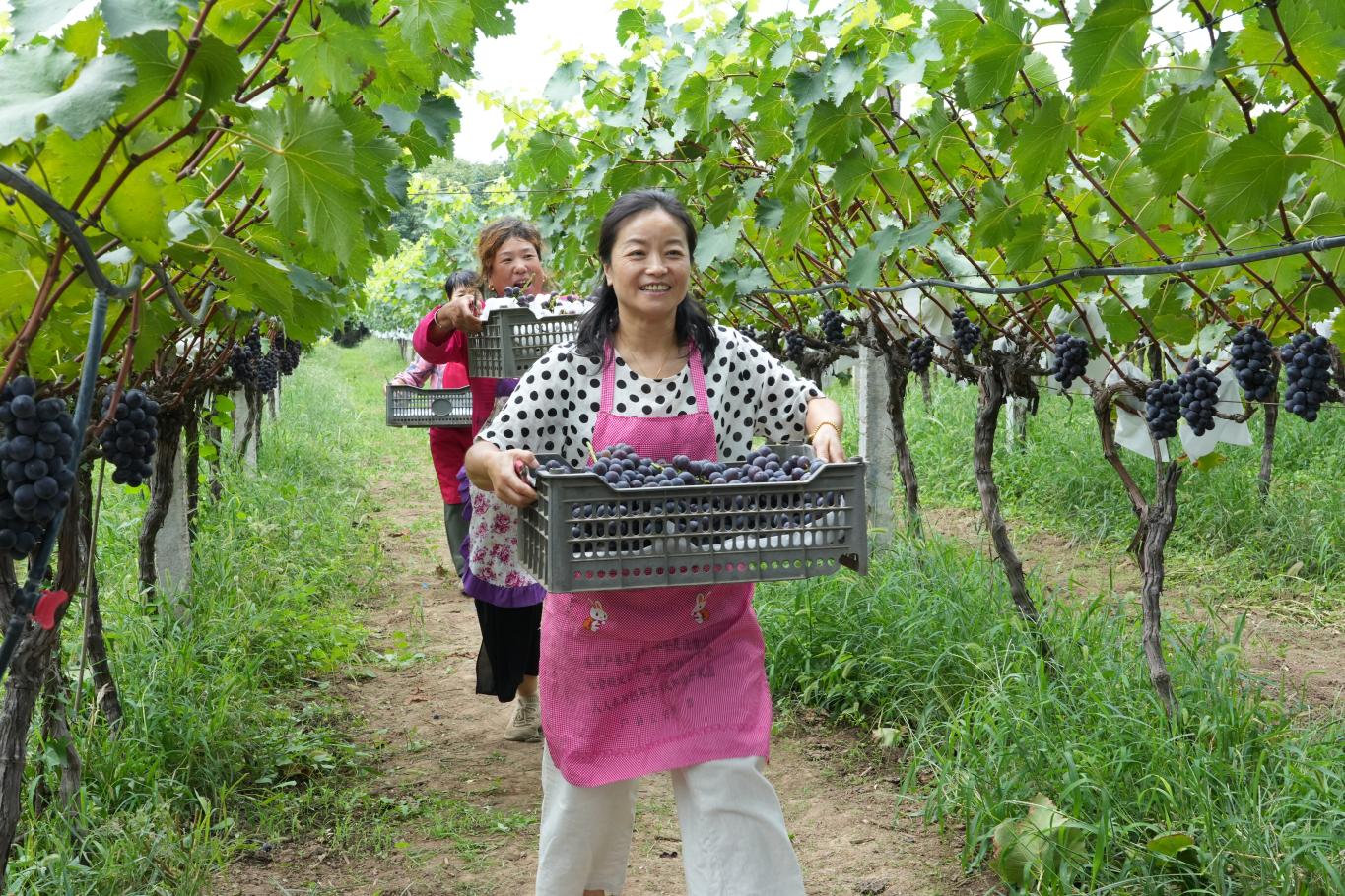 20250821163111098-24-fa4ba.jpg_scale.jpg 20250821163111098-24-fa4ba.jpg_scale.jpg