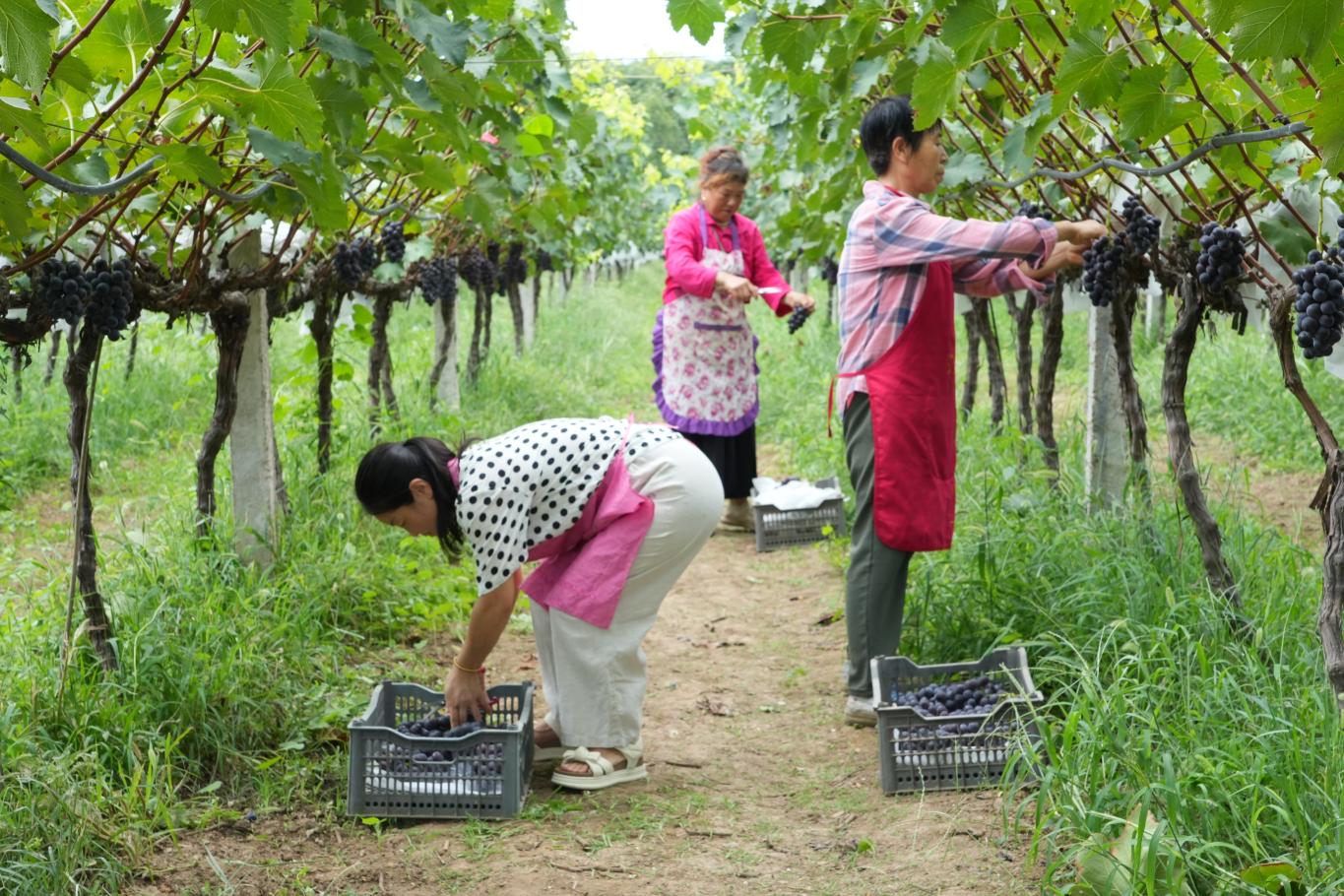 20250821163116659-19-68424.jpg_scale.jpg 20250821163116659-19-68424.jpg_scale.jpg