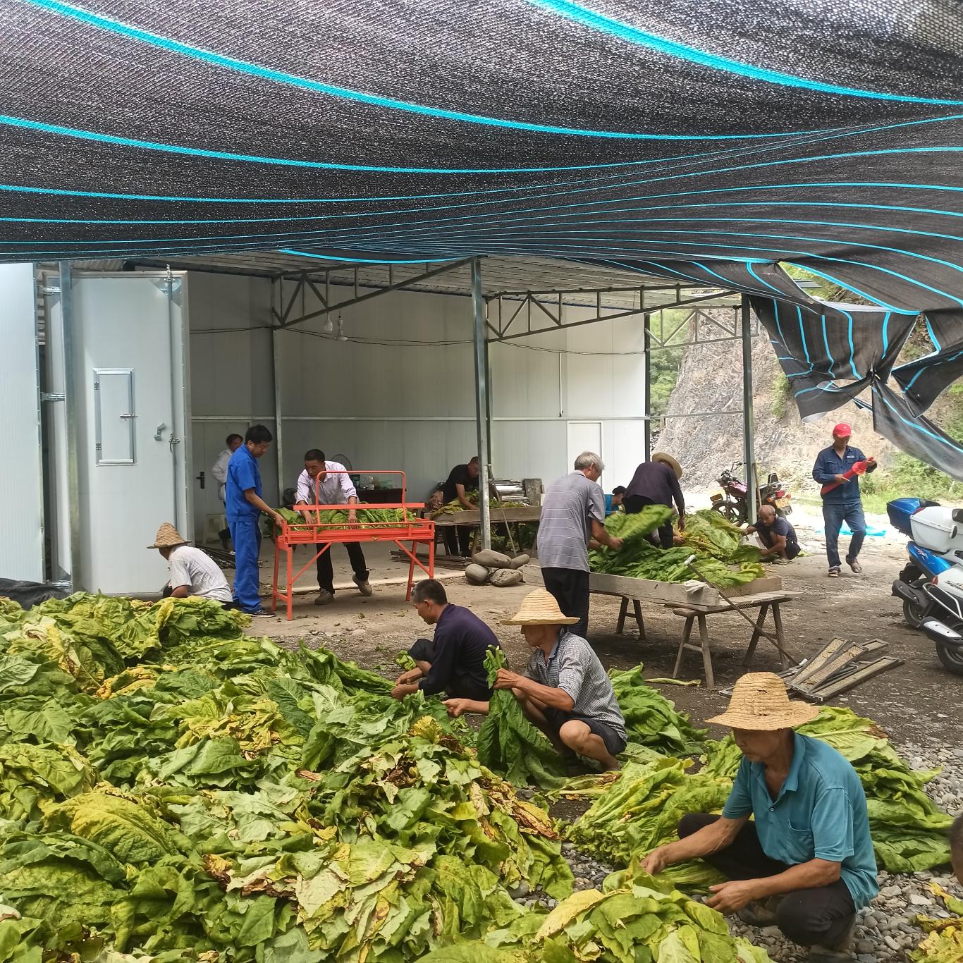 20250822104008937-5-a9b1d.jpg_scale.jpg 20250822104008937-5-a9b1d.jpg_scale.jpg